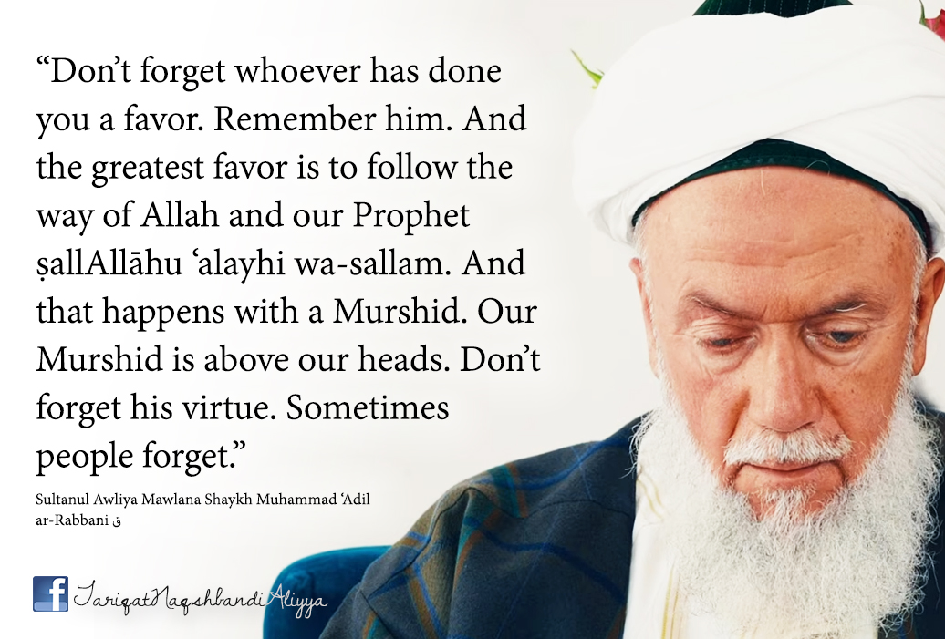 Header image for: Never Forget the Favor Among You